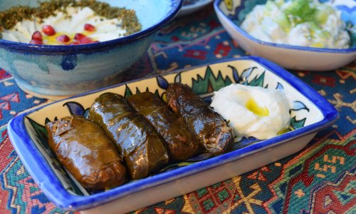 Bringing Back Babel: Language Barriers in Iraqi Kurdistan 