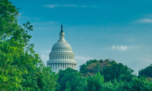 Photo: mirza77/Adobe Stock