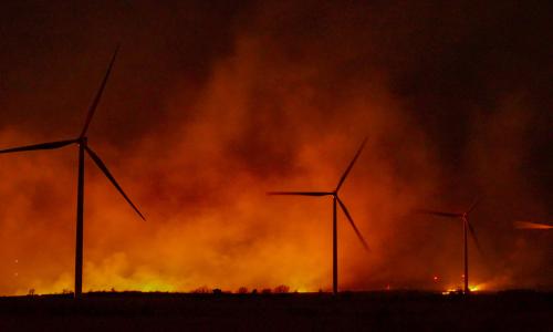 Photo: HealeyPhoto/Adobe Stock