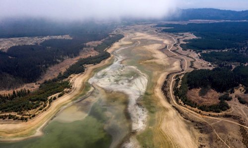 Photo: MARTIN BERNETTI/AFP via Getty Images