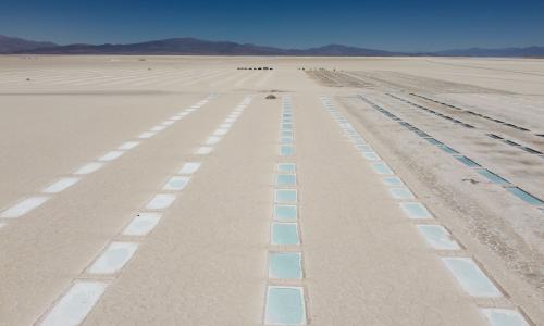 Photo: MARTIN SILVA/AFP via Getty Images