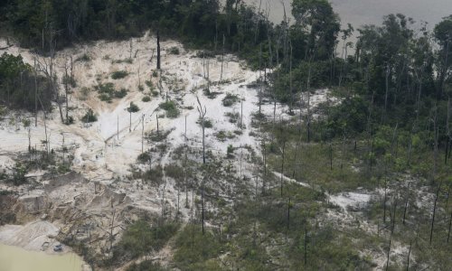 Photo: FEDERICO PARRA/AFP via Getty Images