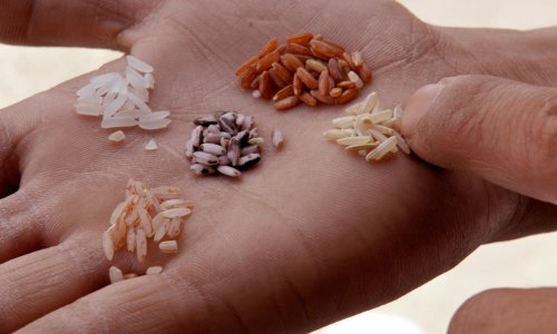 Photo: JAY DIRECTO/AFP/Getty Images