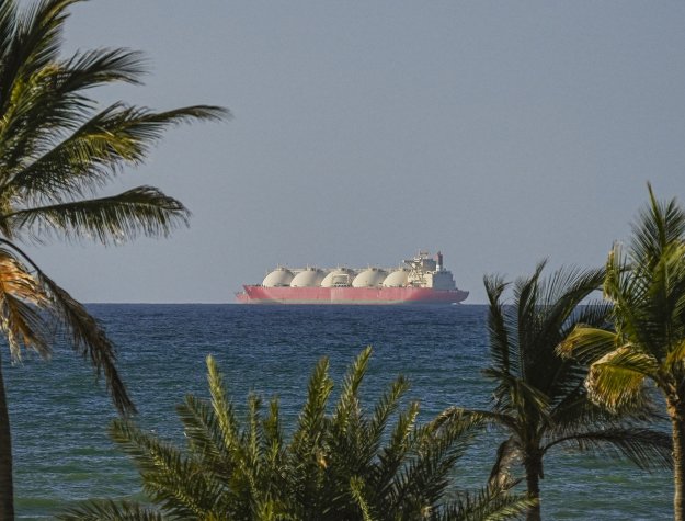 Photo: Shady Alassar/Anadolu/Getty Images