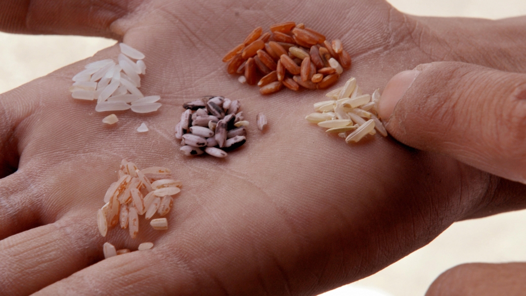 Biosolutions: The Future of Food with Danish Prime Minister Mette Frederiksen - Vimarsana News