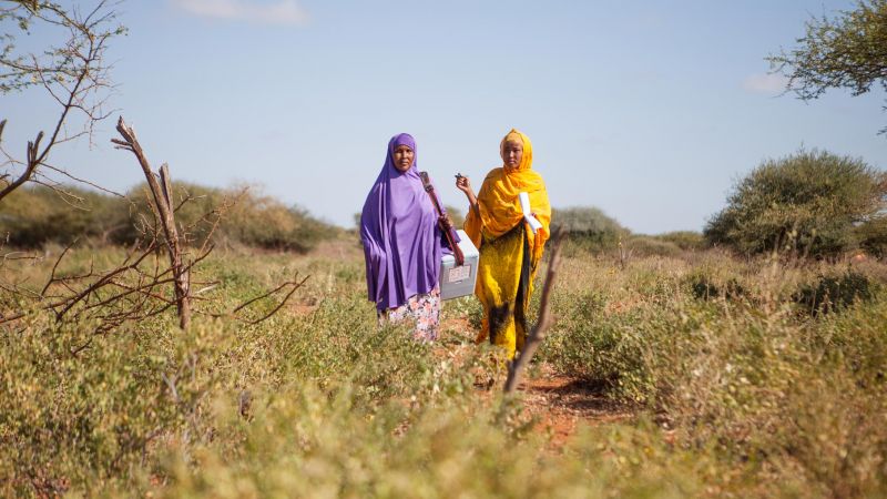 UNICEF workers travel long distance to deliver polio vaccination in hard to reach areas