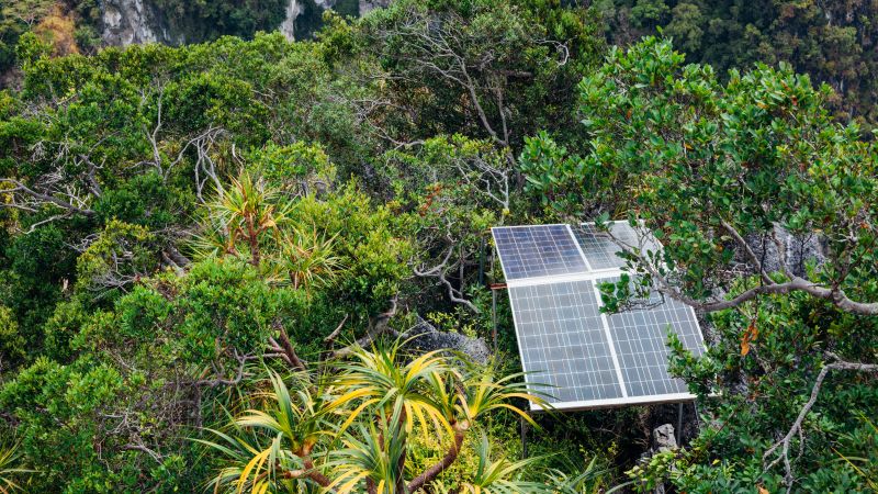 Photo: ermakovep/Adobe Stock