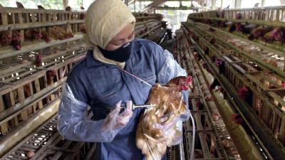 Photo: ARIF ARIADI/AFP via Getty Images