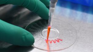 Photo: GREG BAKER/AFP via Getty Images