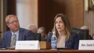 Examining Opportunities for Energy Innovation and Other Potential Solutions to Help Address Global Climate Change