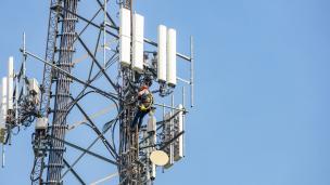 Photo: Rawf8/Adobe Stock