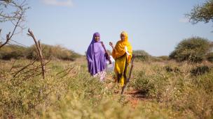 UNICEF workers travel long distance to deliver polio vaccination in hard to reach areas