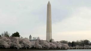 Photo: Paul Morigi/Getty Images