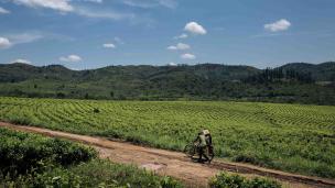 PHOTO: ALEXIS HUGUET/AFP VIA GETTY IMAGES