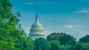 Photo: mirza77/Adobe Stock