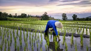 Photo: Thirawatana/Adobe Stock