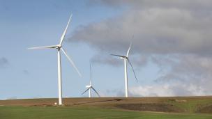 Photo: Daniel Nel/Adobe Stock