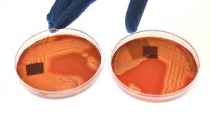 Photo: WILLIAM WEST/AFP via Getty Images