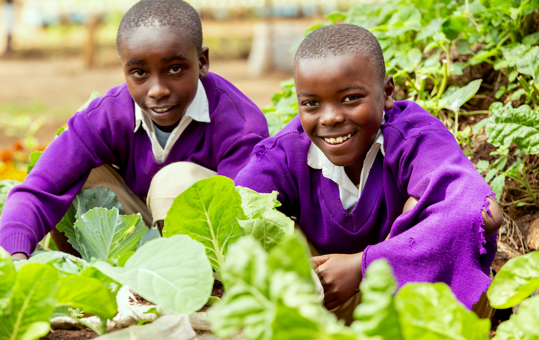 two school children hovering down by lettuce