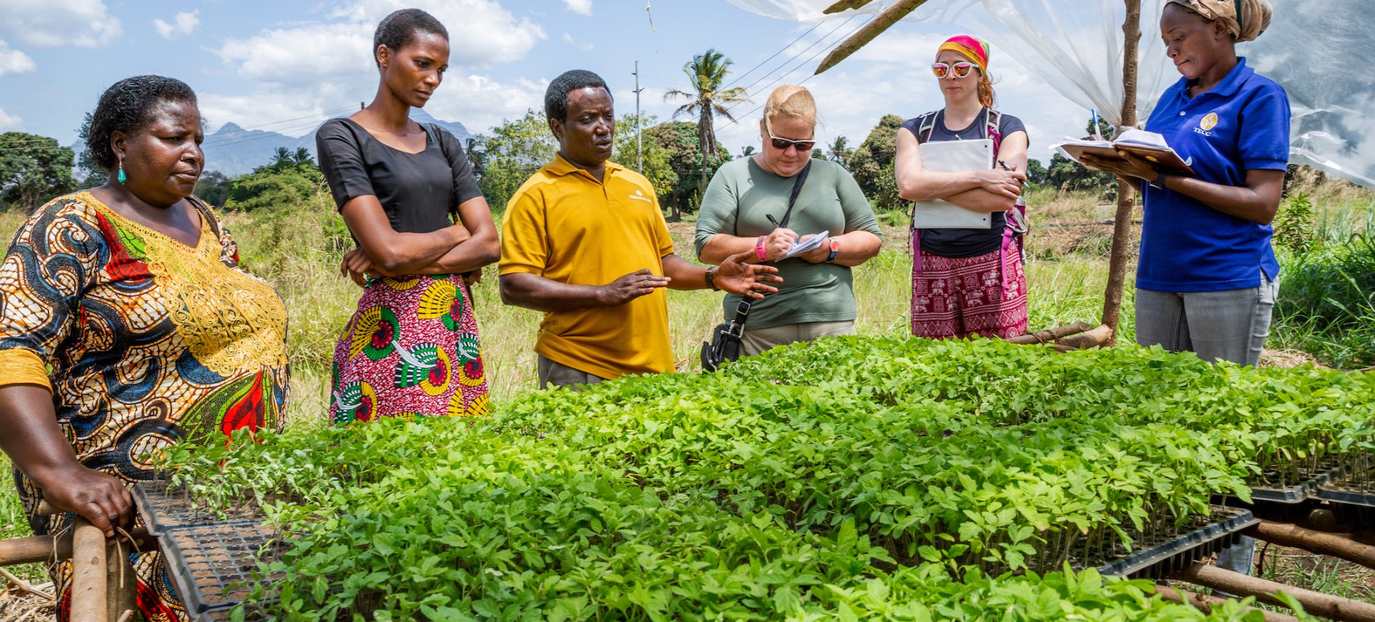 The author and her team learn about farming in Tanzania