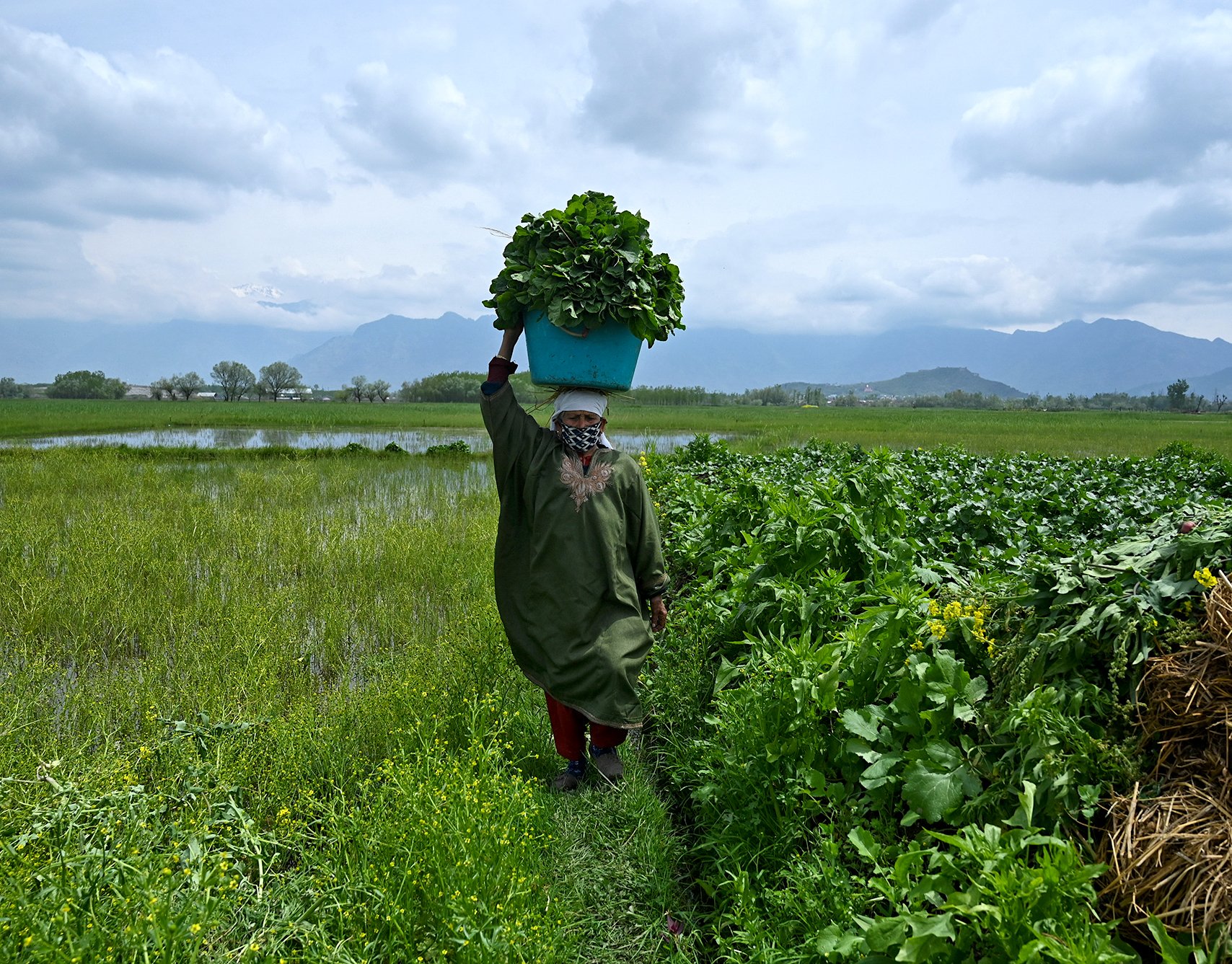 A woman carries a basket with vegetables recently harvested in Srinagar on April 20, 2020. | TAUSEEF MUSTAFA/AFP via Getty Images