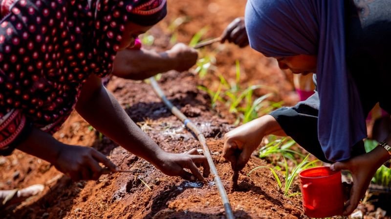 Photo Credit: Sala Lewis Photography