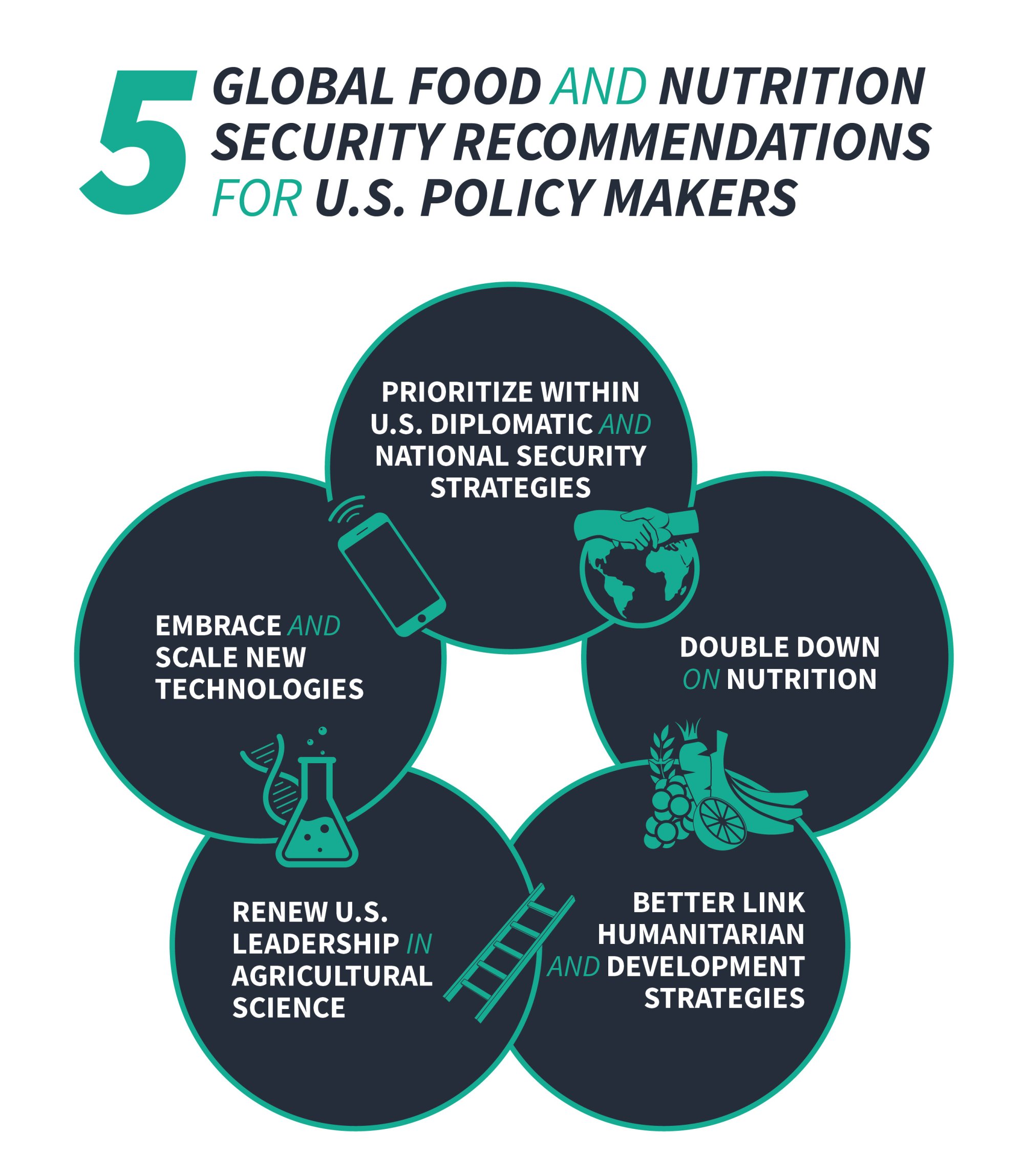 5 Global Food and Nutrition Security Recommendations